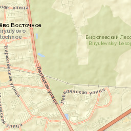 Biryulëvo Street Map