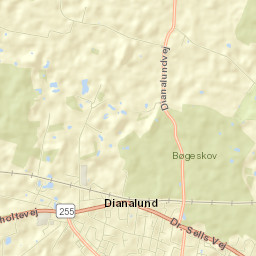 Dianalund Street Map