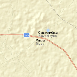 Savasleyka Street Map