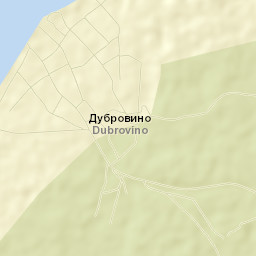 Dubrovino Street Map