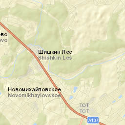 Shishkin Les Street Map