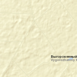 Nizhnekamskiy Rayon Street Map