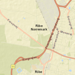 Ribe Street Map