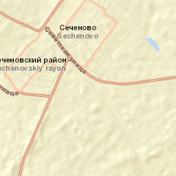 Sechenovo Street Map