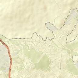 Tynda Street Map