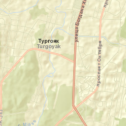Turgoyak Street Map