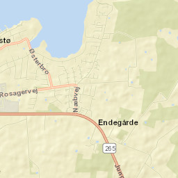 Præstø Street Map