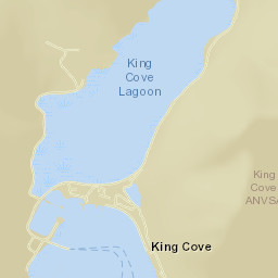 King Cove Street Map