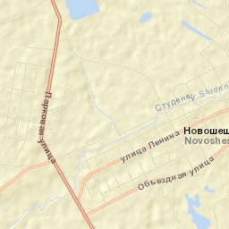 Novosheshminsk Street Map