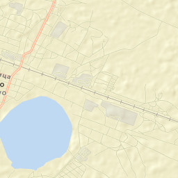 Petukhovo Street Map