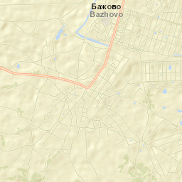 Starokamyshinsk Street Map