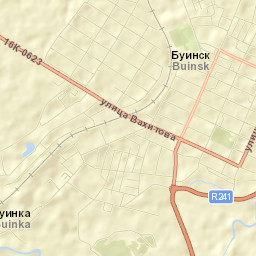 Buinsk Street Map