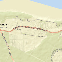 Otradnoye Street Map