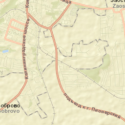 Pionerskiy Street Map