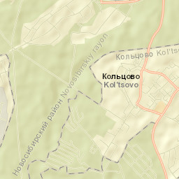 Kol’tsovo Street Map