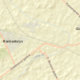 Kaišiadorys Street Map