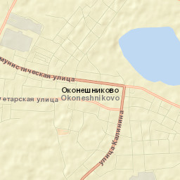 Okoneshnikovo Street Map