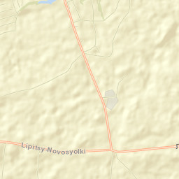 Bol’shoye Gryzlovo Street Map