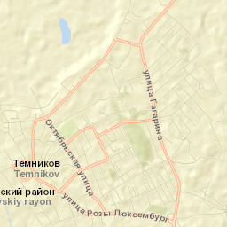 Temnikov Street Map