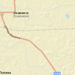 Znamensk Street Map