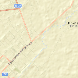 Yel’nya Street Map