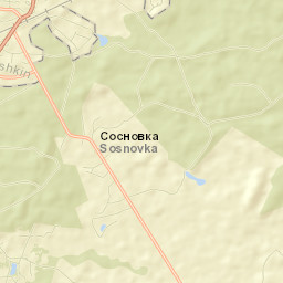 Ladushkin Street Map