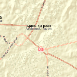 Orsha Street Map