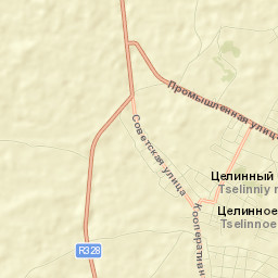 Tselinnoye Street Map