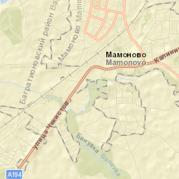 Mamonovo Street Map