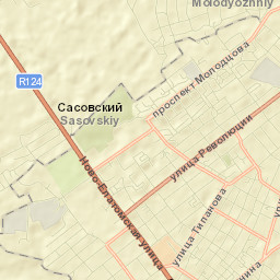 Sasovo Street Map