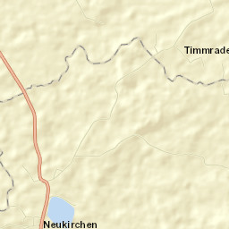 Neukirchen Street Map