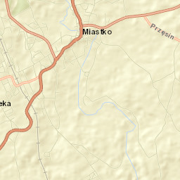 Miastko Street Map