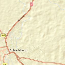 Dobre Miasto Street Map