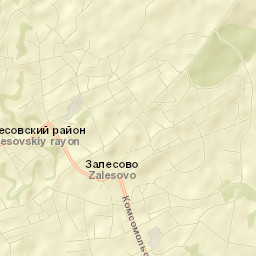 Zalesovo Street Map