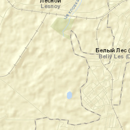 Podlesnyy Street Map