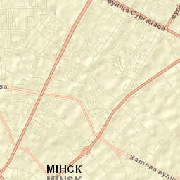 Tsentral’ny Rayon Street Map