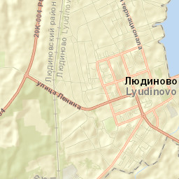 Lyudinovo Street Map