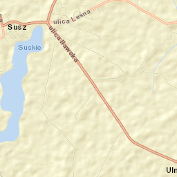Susz Street Map