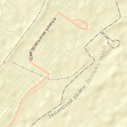 Zarinsk Street Map