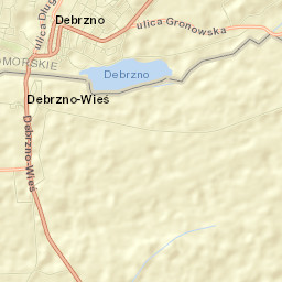 Debrzno Street Map