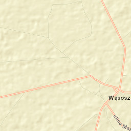 Wąsosz Street Map