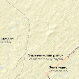 Zemetchino Street Map