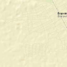 Borovikha Street Map