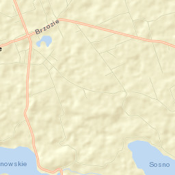 Brzozie Street Map