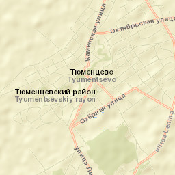 Tyumentsevo Street Map