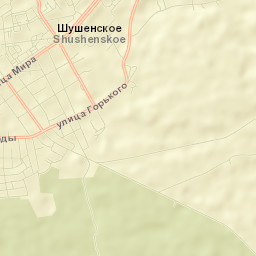 Shushenskoye Street Map