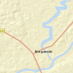 Nowogród Street Map