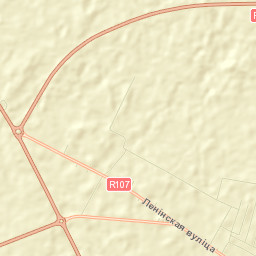 Nyasvizhski Rayon Street Map