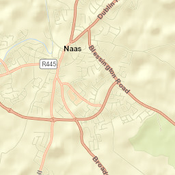 Naas Street Map