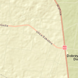 Dobrzyniewo Duże Street Map